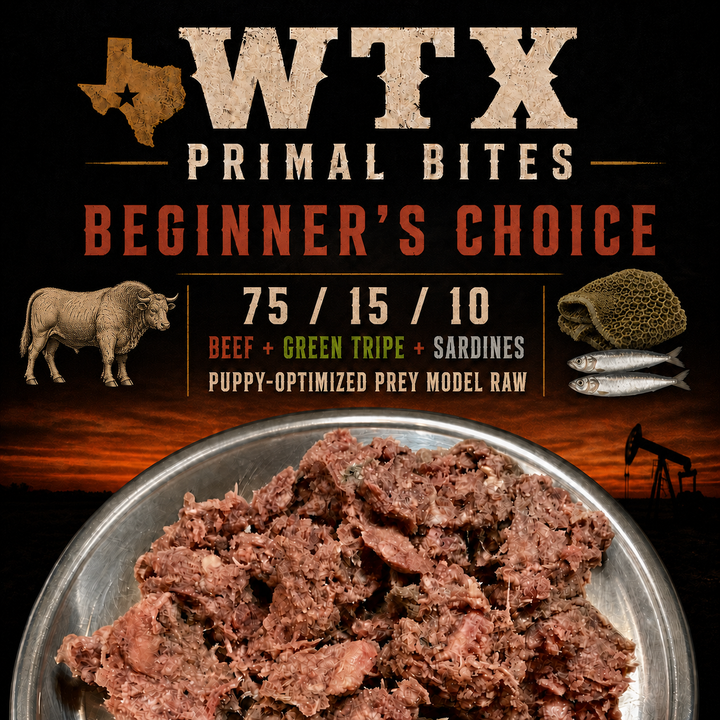 Beginners Choice