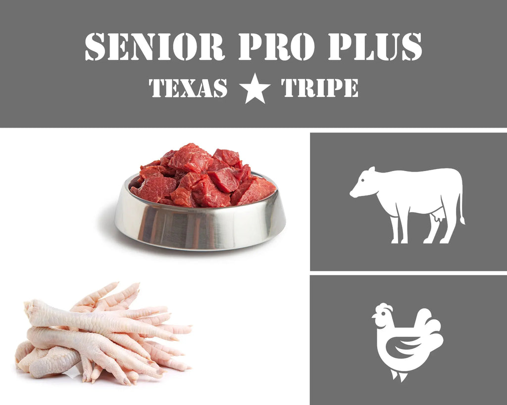 Senior Pro Blend West Texas Primal Bites