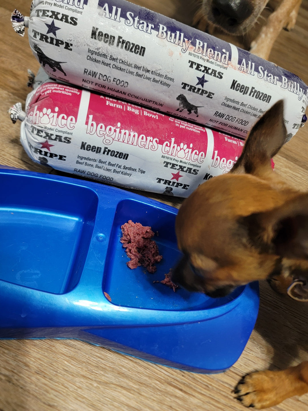 A West Texas Primal Bites customer dog beside a package of Beginners Choice frozen raw dog food