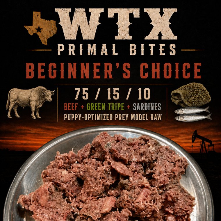 Beginners Choice